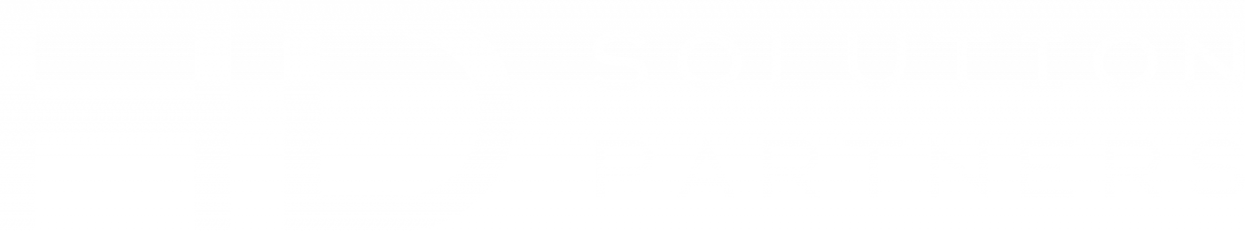 HD Solution Partners Logo White